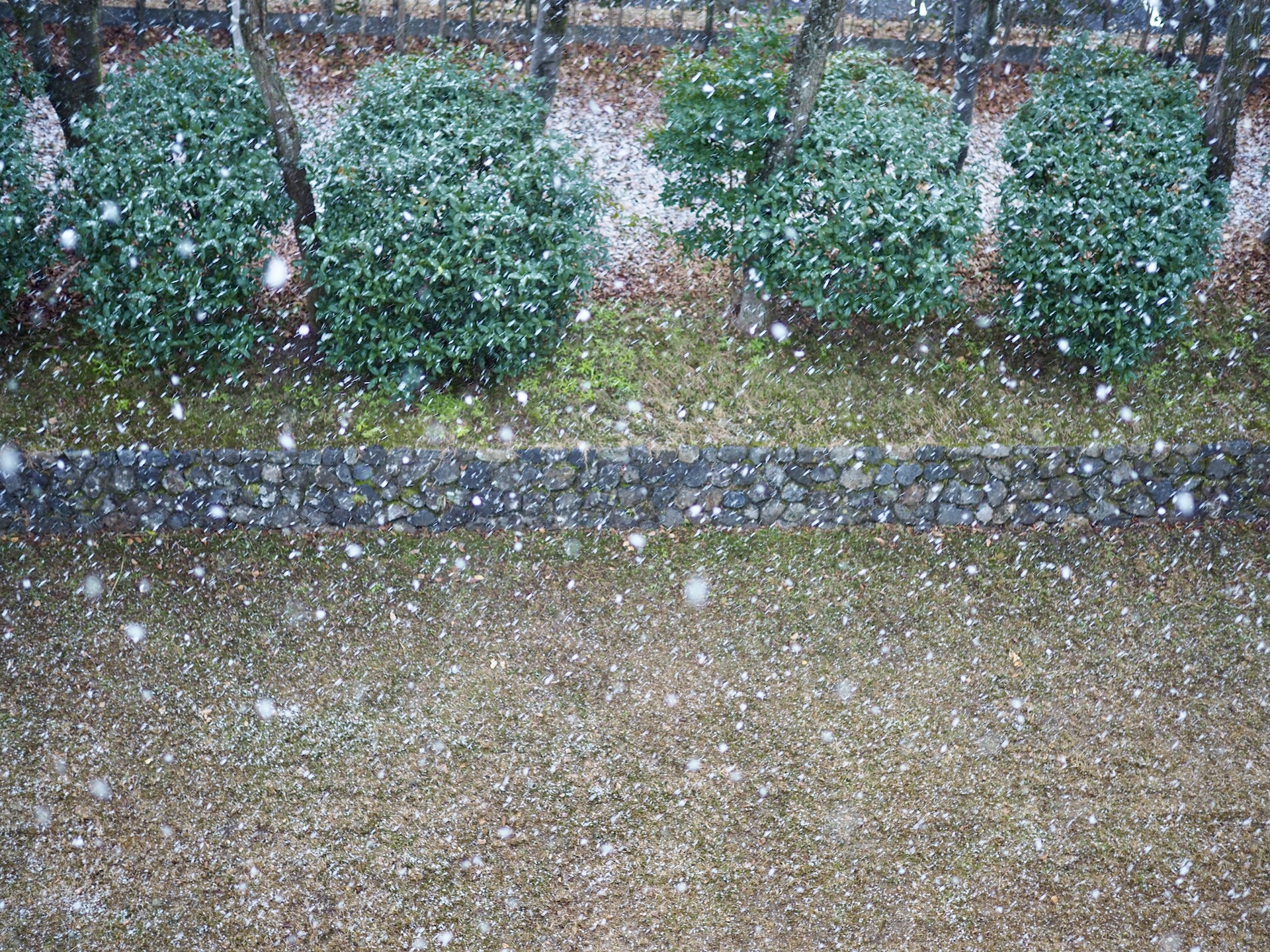 子どもと雪景色を楽しむ様子。家族の笑顔と冬の楽しみが詰まった冬の雪の日のイメージ。