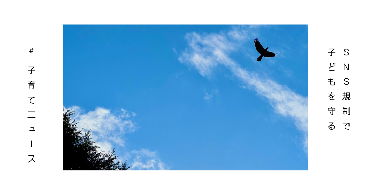 鳥が大空を飛んでいく写真