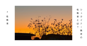 家々の背後の沈む夕日の写真