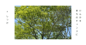 仲直りを象徴する写真