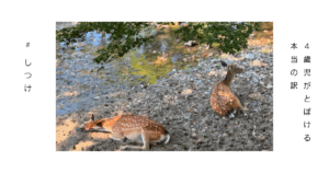 とぼけた顔をしている小鹿の写真