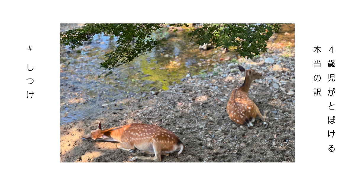 とぼけた顔をしている小鹿の写真