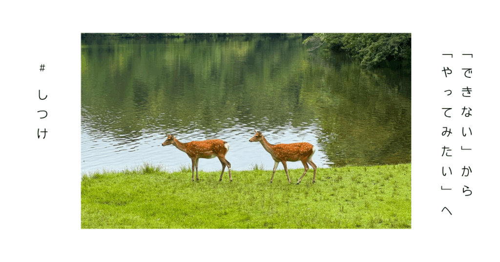 子どもの自立を育てる言葉がけと日常の風景