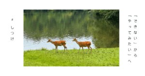 子どもの自立を育てる言葉がけと日常の風景