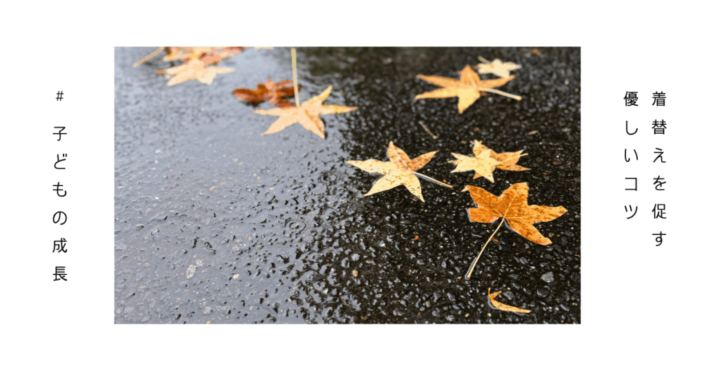 秋の落ち葉が雨に濡れている写真。