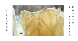 クリスマス後の静かな時間を感じさせる写真