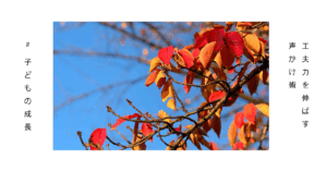 紅葉した秋の木々の画像