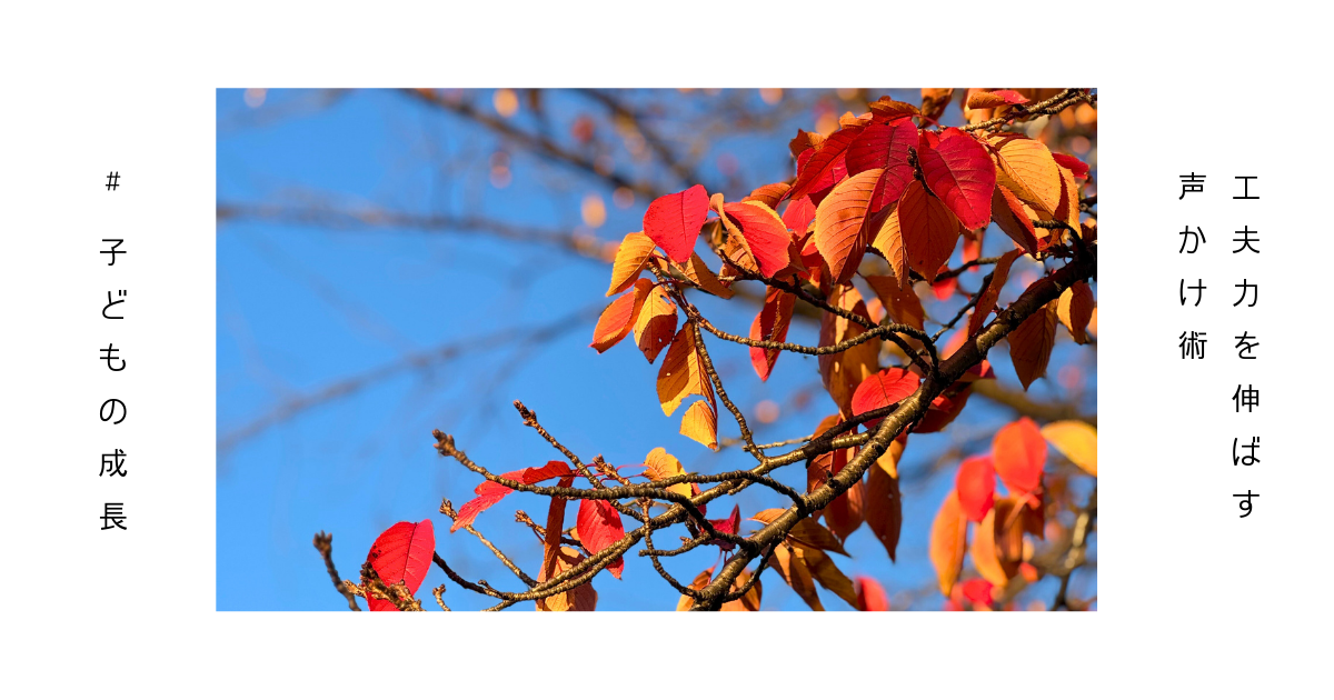 紅葉した秋の木々の画像