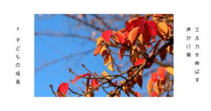 紅葉した秋の木々の画像