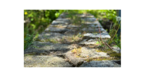 ダメと言わずに子どもへ境界線を伝えるシュタイナー教育の子育てイメージ