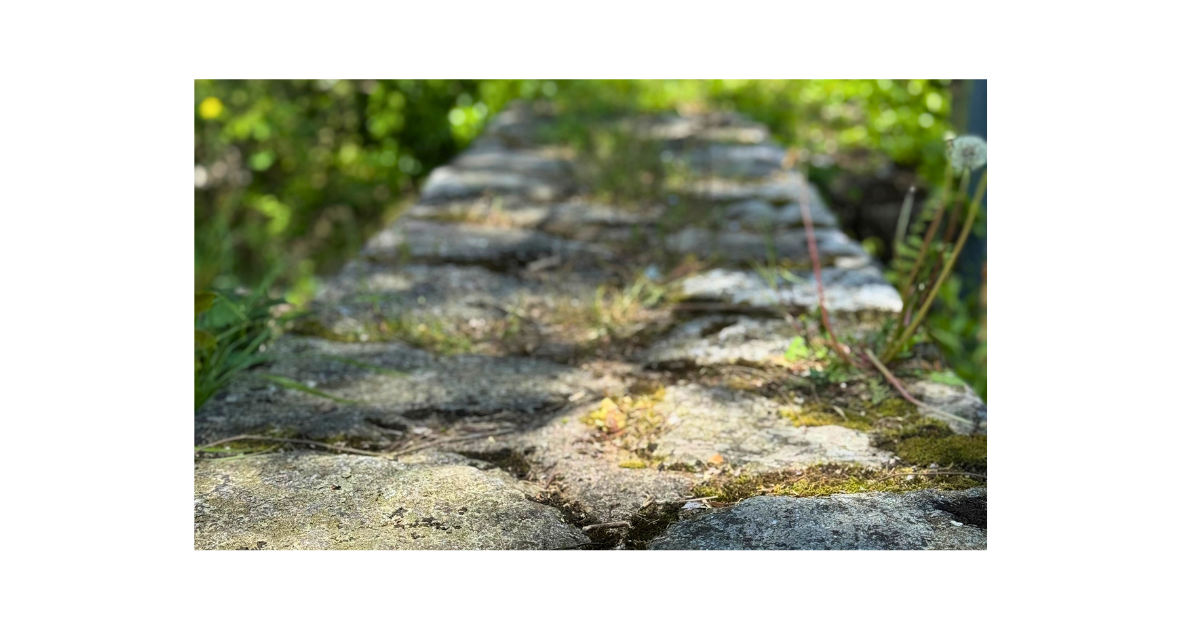 ダメと言わずに子どもへ境界線を伝えるシュタイナー教育の子育てイメージ