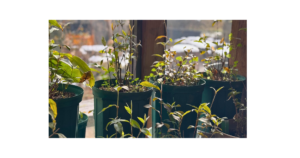 「ちゃんと育てなきゃ」というプレッシャーを手放す子育てのイメージ