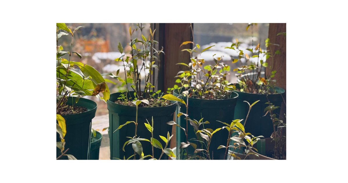 「ちゃんと育てなきゃ」というプレッシャーを手放す子育てのイメージ