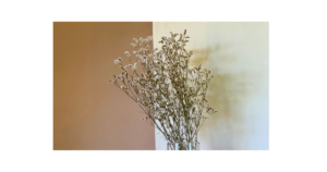 自然光が差し込むシンプルな室内で穏やかに過ごす親子の様子と整った空間の空気感