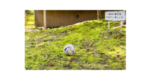 広場に落ちているサッカーボール。兄弟喧嘩を象徴する画像
