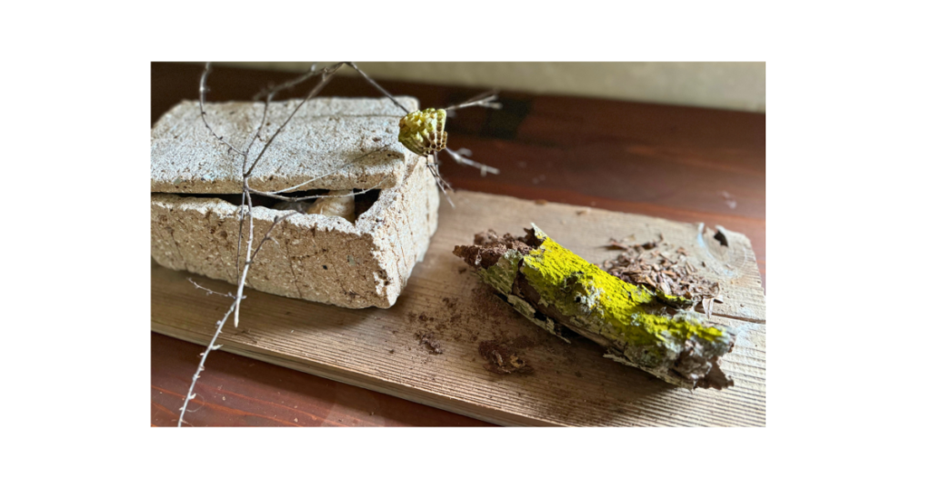 春を待つ気持ちを象徴する画像