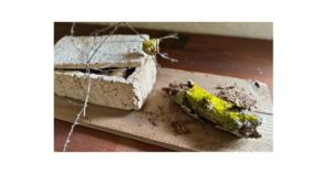 春を待つ気持ちを象徴する画像