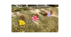 子どもの個性と発達のリズムを大切に見守るシュタイナー教育のイメージ