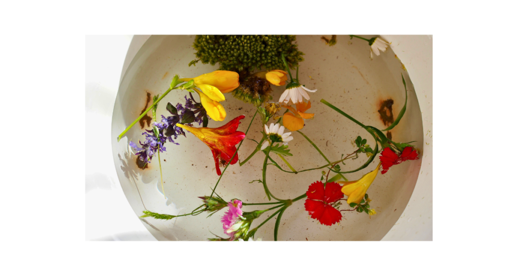 シュタイナー教育の授業で物語や芸術活動を通して学ぶ子どもたちのイメージ写真