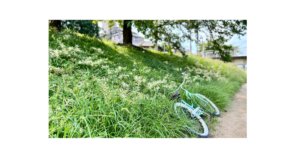 子どもの発達や子育て相談に寄り添うシュタイナー教育のイメージ