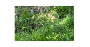 朝の支度を親子で一緒に行い自然に行動するイメージ画像