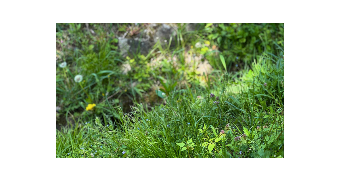 朝の支度を親子で一緒に行い自然に行動するイメージ画像