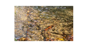 穏やかな表情で子どもに向き合い愛を持って話すイメージ画像