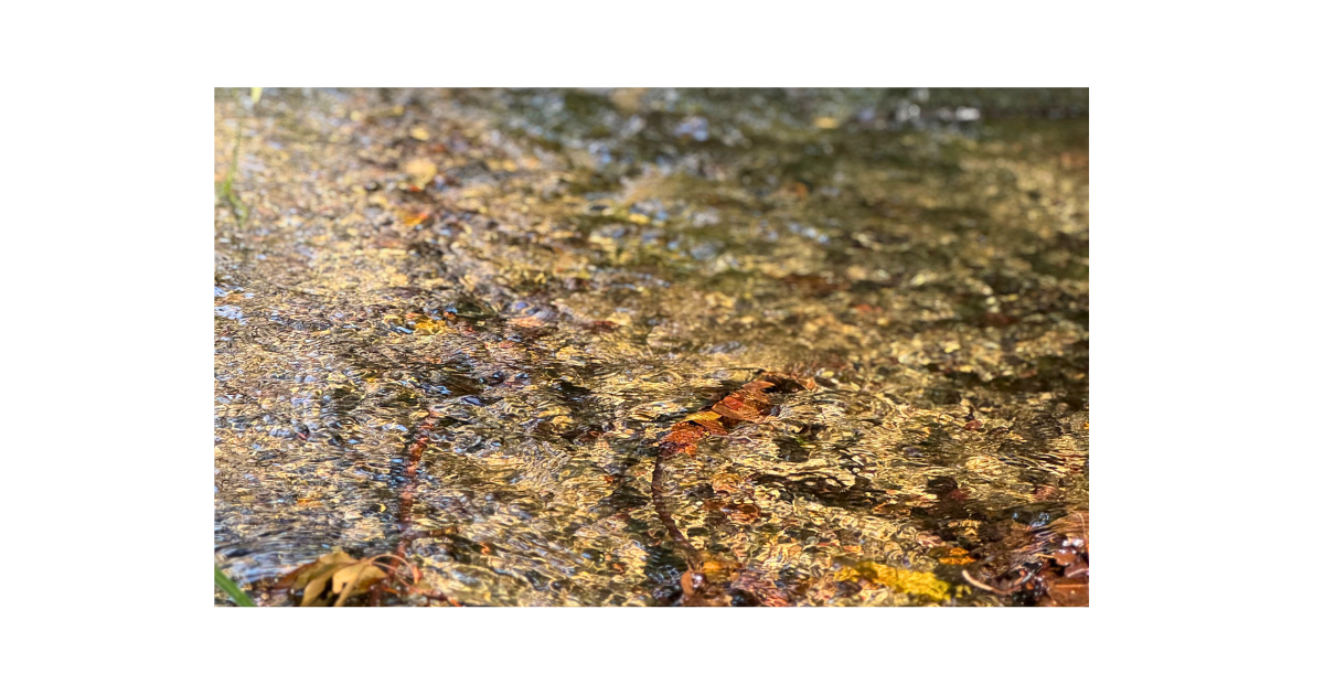 穏やかな表情で子どもに向き合い愛を持って話すイメージ画像