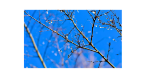 年齢ごとの成長段階に合わせて子どもに寄り添う親子のイメージ