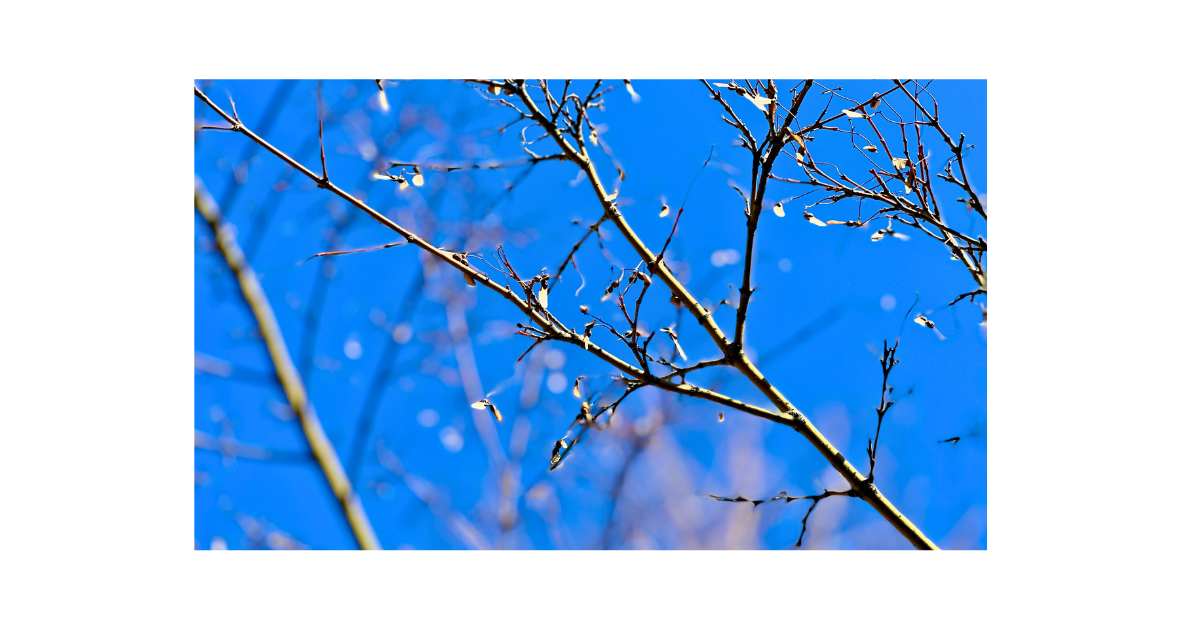 年齢ごとの成長段階に合わせて子どもに寄り添う親子のイメージ