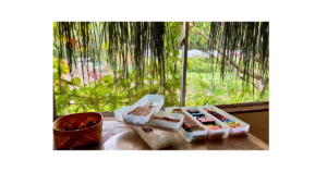 穏やかな表情で子どもと過ごす母親とゆったりした家庭の雰囲気