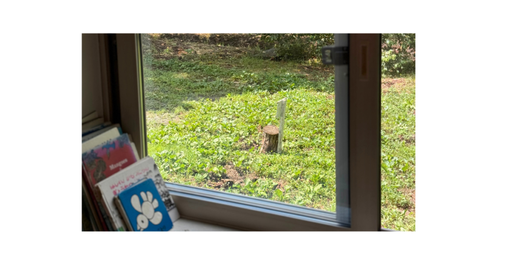 この子に合う習い事ってどう選べばいい？シュタイナー教育の視点から習い事について考えるオンライン子育て講座
