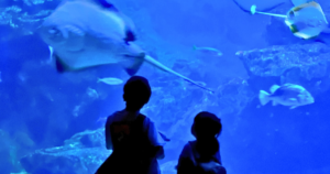 子どもの勇気をイメージした画像